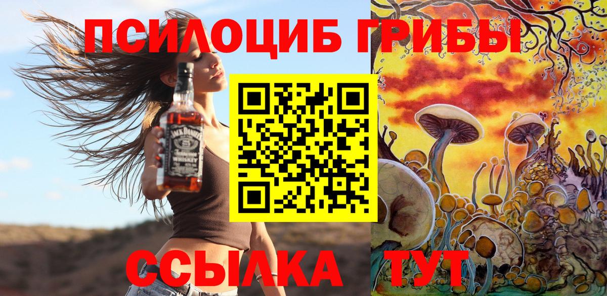 Псилоцибиновые грибы MAGIC MUSHROOMS  Вход с VPN  Бор 