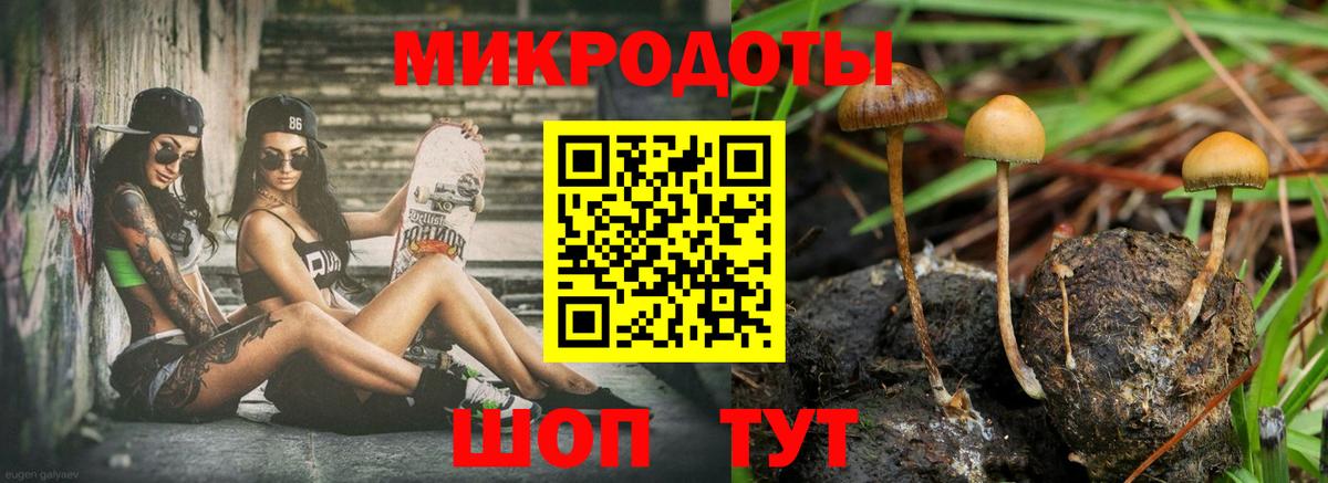 Галлюциногенные грибы Psilocybine cubensis Бор